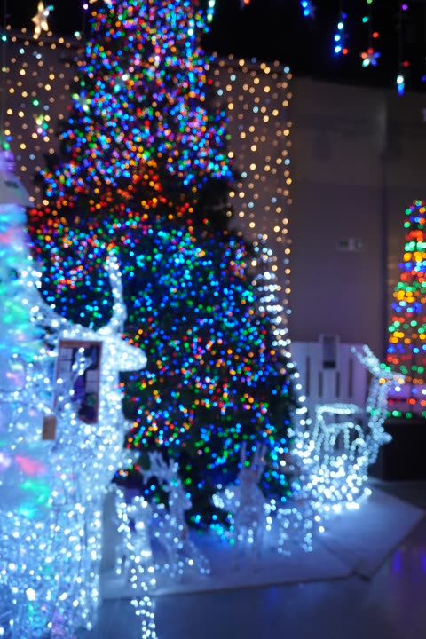Albero con luci multicolori in una sala di alberi bianchi