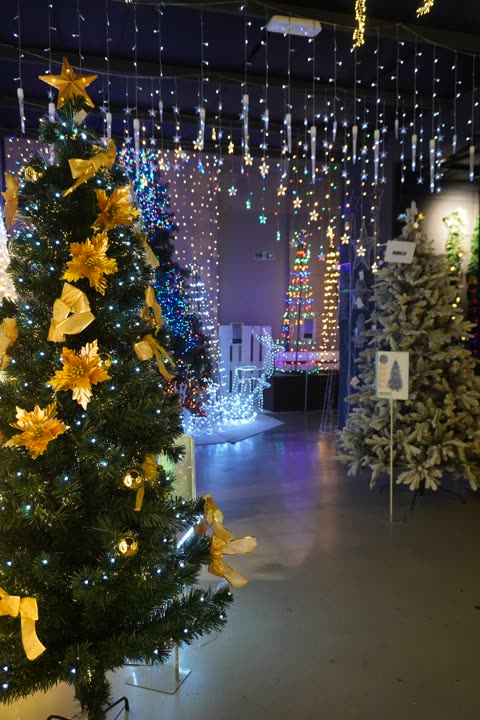 Albero con stelle gialle davanti a una tenda di luci